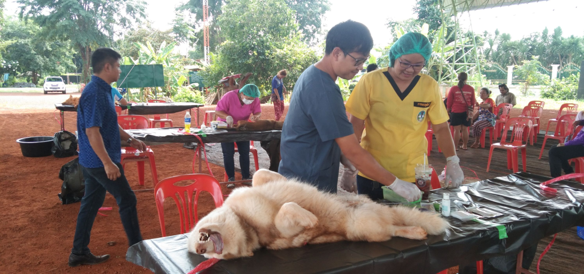 โครงการสัตว์ปลอดโรค คนปลอดภัย จากพิษสุนัขบ้า