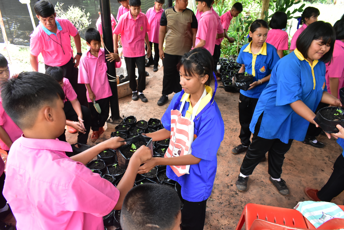 โครงการปลูกไม้ดอกไม้ประดับ