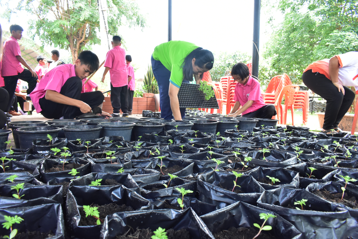 โครงการปลูกไม้ดอกไม้ประดับ