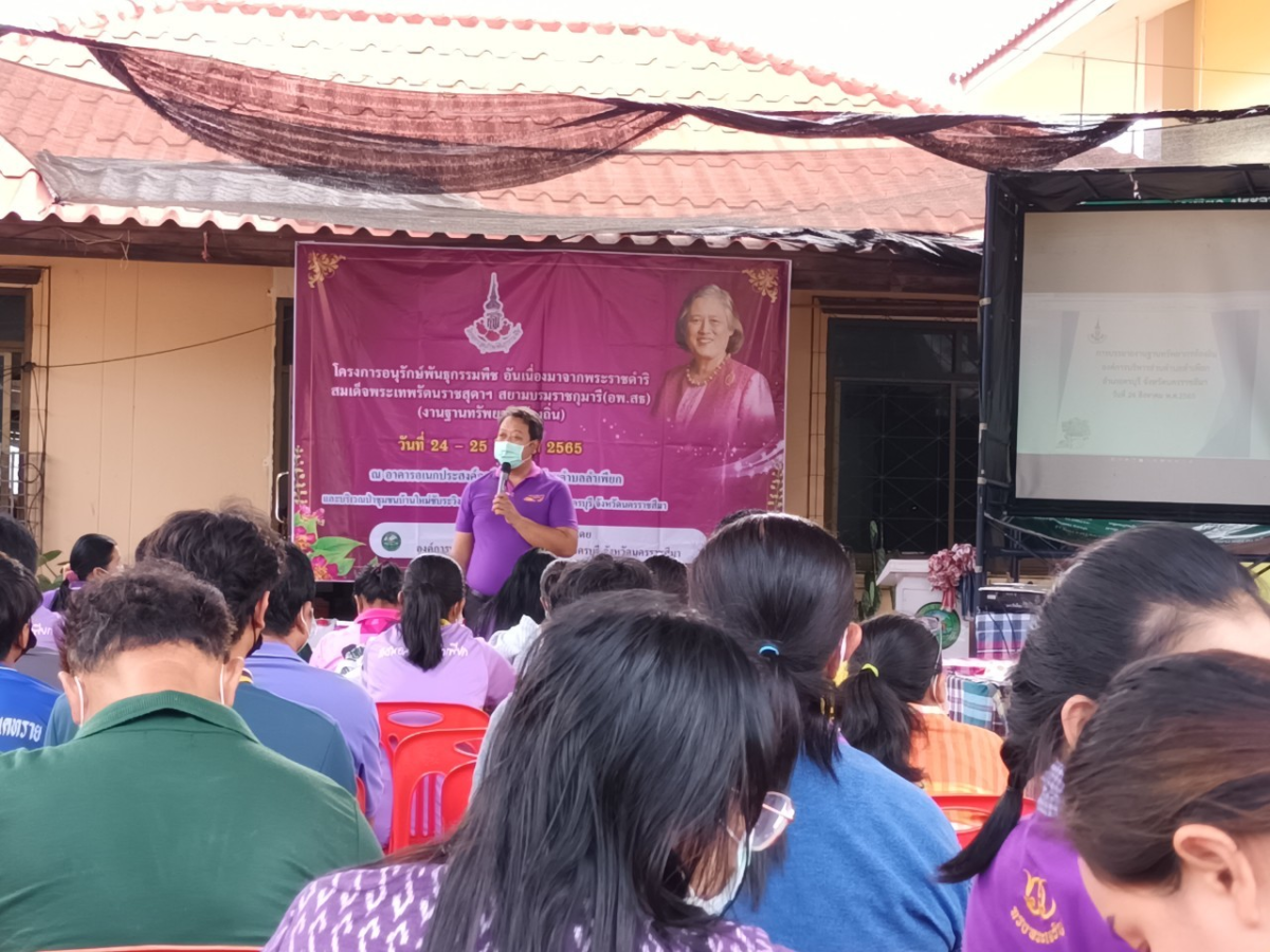 โครงการอนุรักษ์พันธุกรรมพืชอันเนื่องมาจากพระราชดำริ สมเด็จพระเทพรัตนราชสุดาฯ สยามบรมราชกุมารี(อพ.สธ) ประจำปี 2565