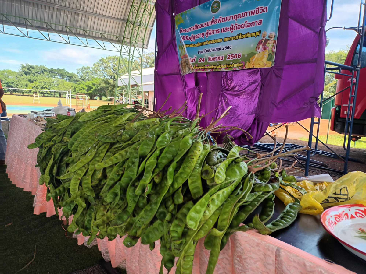 โครงการฝึกอบรมเพื่อพัฒนาคุณภาพชีวิตให้กับผู้สูงอายุ ผู้พิการ และผู้ด้อยโอกาส หลักสูตรฝึกอาชีพการทำสตอดอง และการทำไอศกรีมขนุน