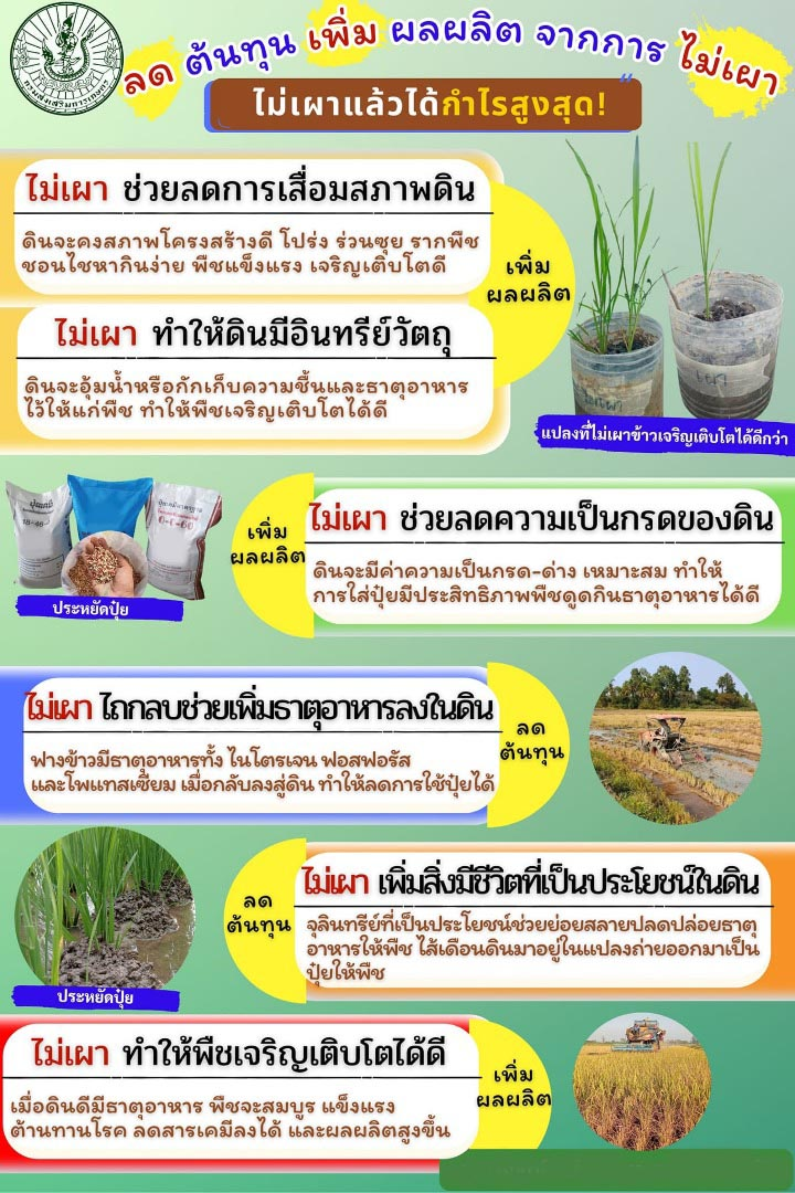 ประชาสัมพันธ์งดเผา เพิ่มผลิต