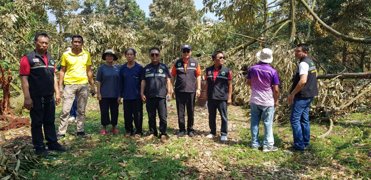 ประกาศรายชื่อผู้ประสบภัยพิบัติ (วาตภัย) ประจำปี 2568