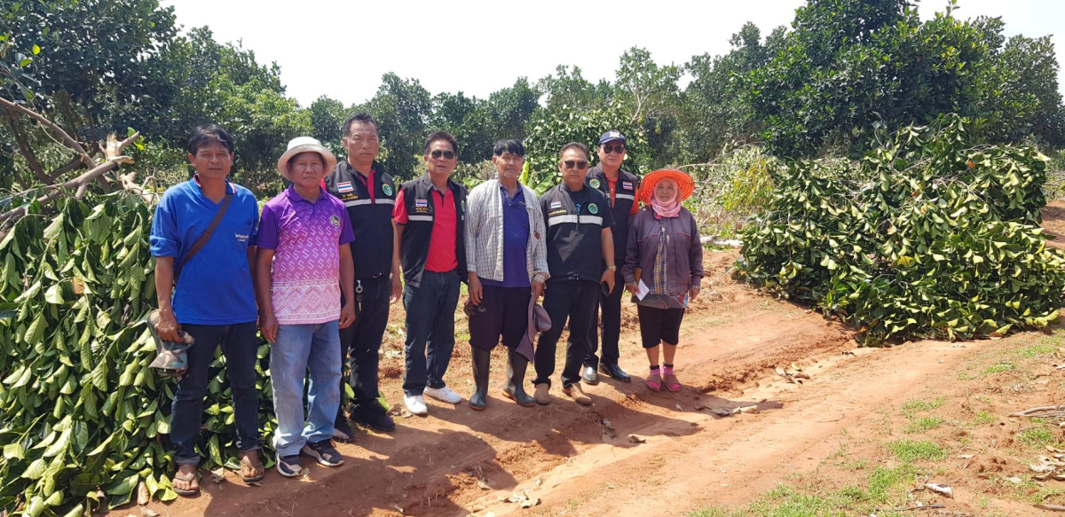ประกาศรายชื่อผู้ประสบภัยพิบัติ (วาตภัย) ประจำปี 2568