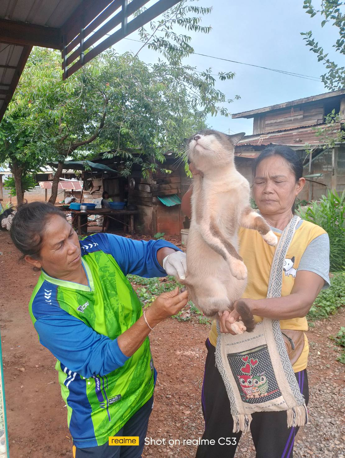 กิจกรรมการให้บริการฉีดวัคซีนป้องกันโรคพิษสุนัขบ้า
