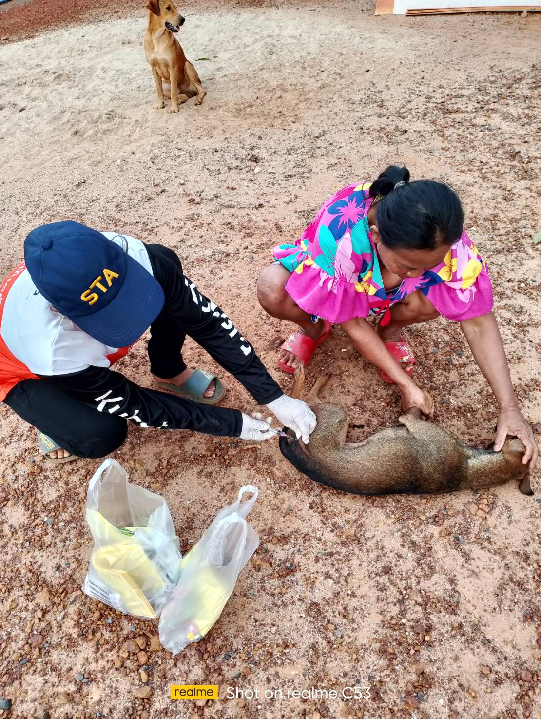 กิจกรรมการให้บริการฉีดวัคซีนป้องกันโรคพิษสุนัขบ้า