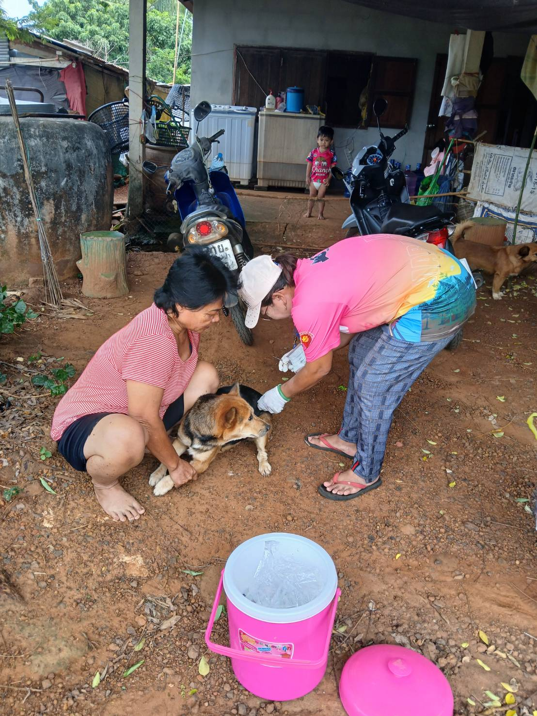 กิจกรรมการให้บริการฉีดวัคซีนป้องกันโรคพิษสุนัขบ้า