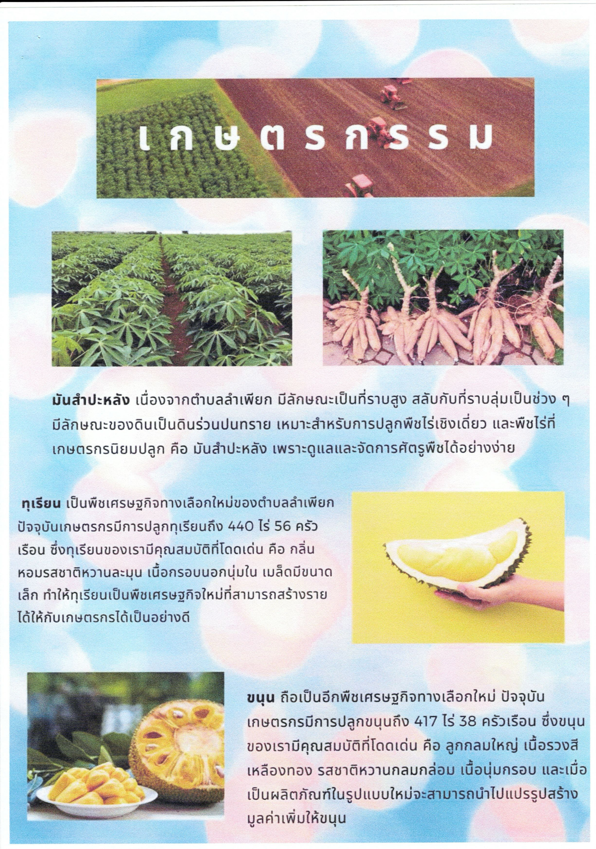 เอกสารประชาสัมพันธ์แหล่งท่องเที่ยวตำบลลำเพียก