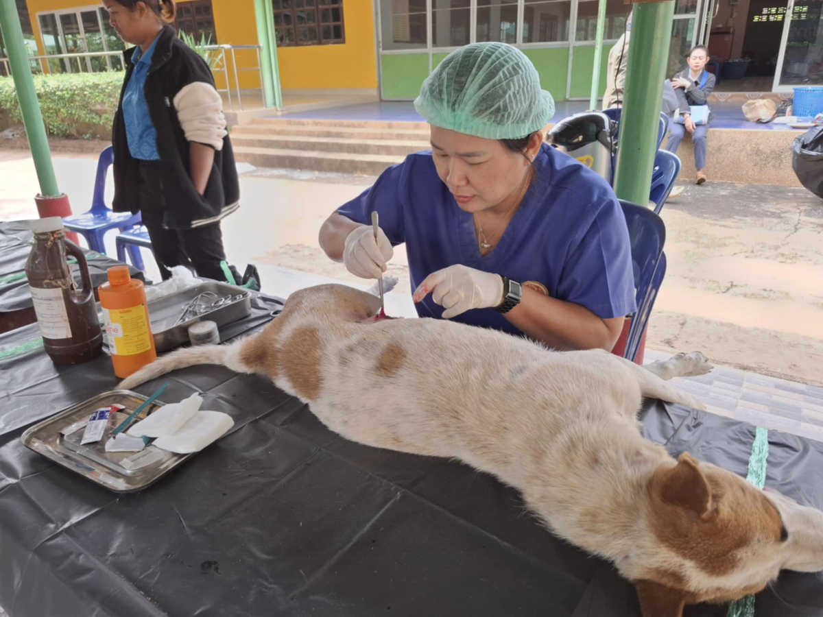 โครงการป้องกันเเละควบคุมโรคระบาดในพื้นที่ตำบลลำเพียก (ทำหมันสัตว์)