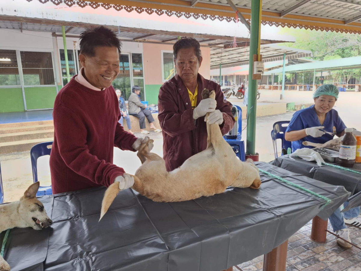 โครงการป้องกันเเละควบคุมโรคระบาดในพื้นที่ตำบลลำเพียก (ทำหมันสัตว์)