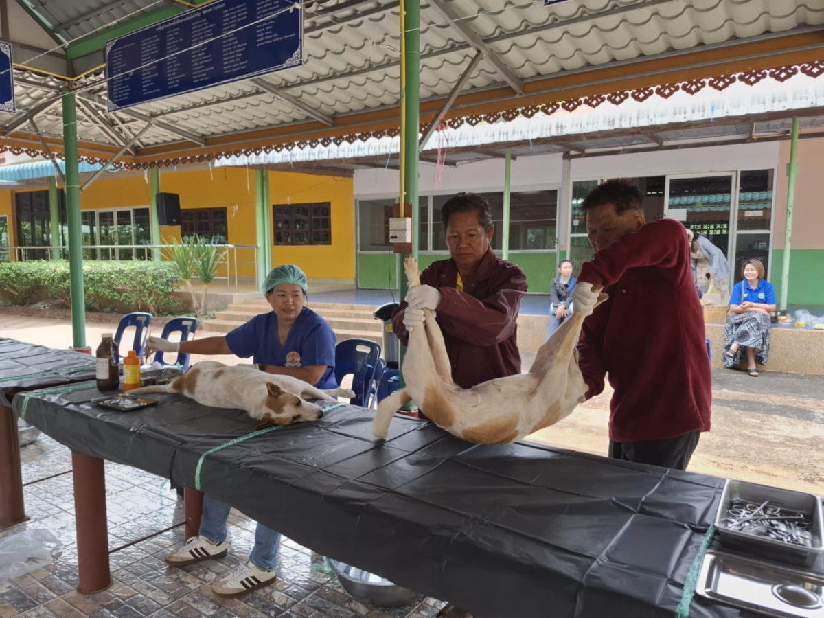 โครงการป้องกันเเละควบคุมโรคระบาดในพื้นที่ตำบลลำเพียก (ทำหมันสัตว์)