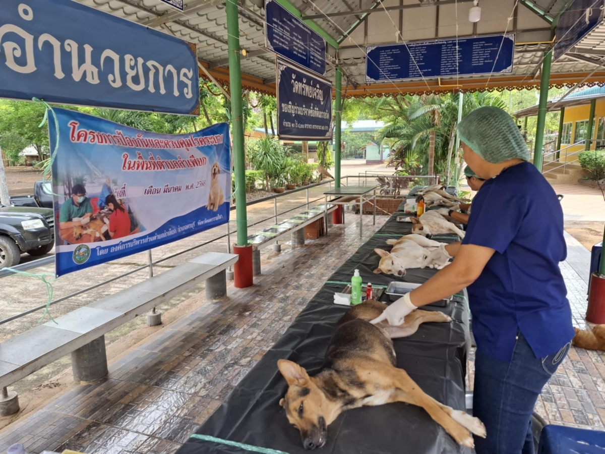 โครงการป้องกันเเละควบคุมโรคระบาดในพื้นที่ตำบลลำเพียก (ทำหมันสัตว์)
