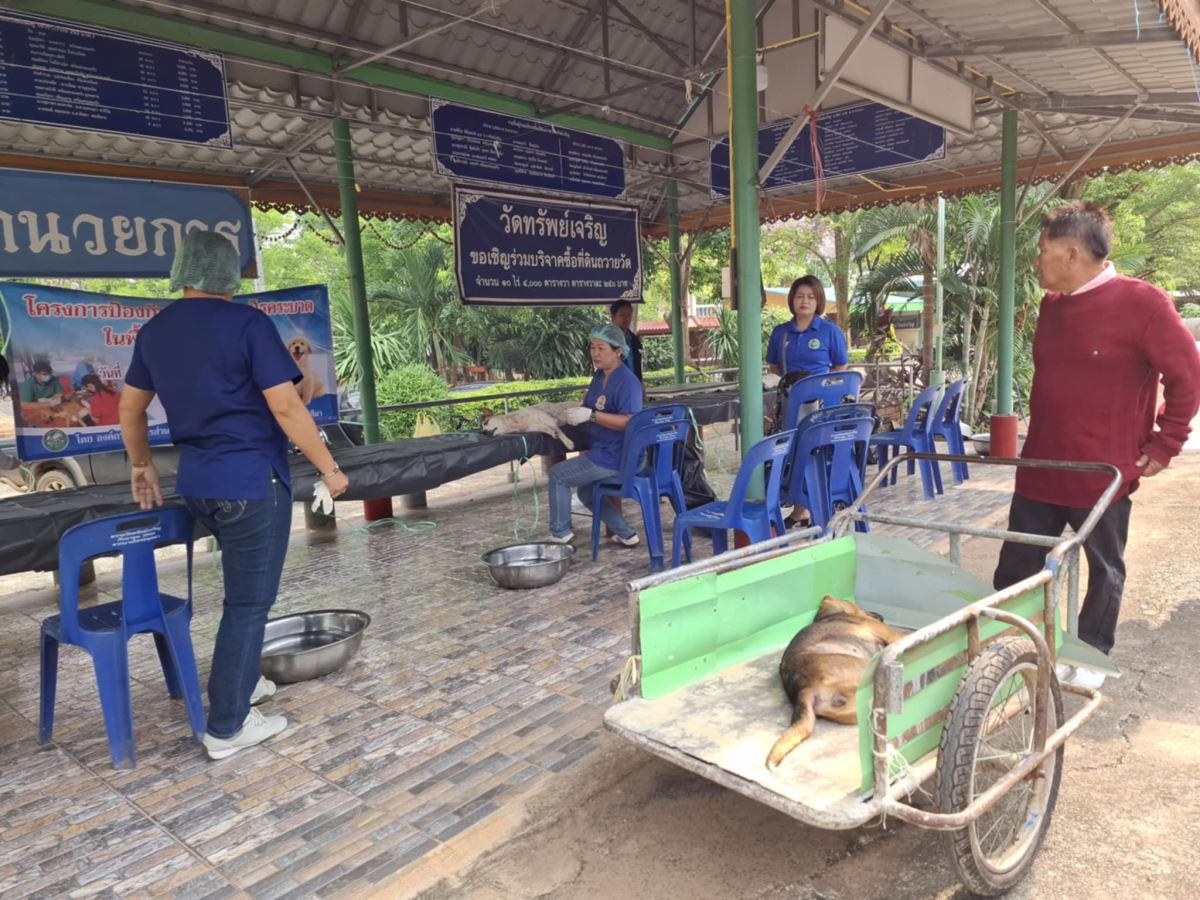 โครงการป้องกันเเละควบคุมโรคระบาดในพื้นที่ตำบลลำเพียก (ทำหมันสัตว์)