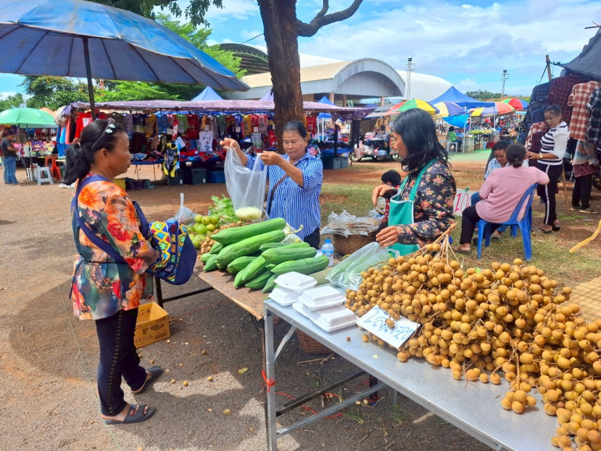 โครงการส่งเสริมอาชีพเกษตรกรและของดีตำบลลำเพียก  ประจำปีงบประมาณ 2568